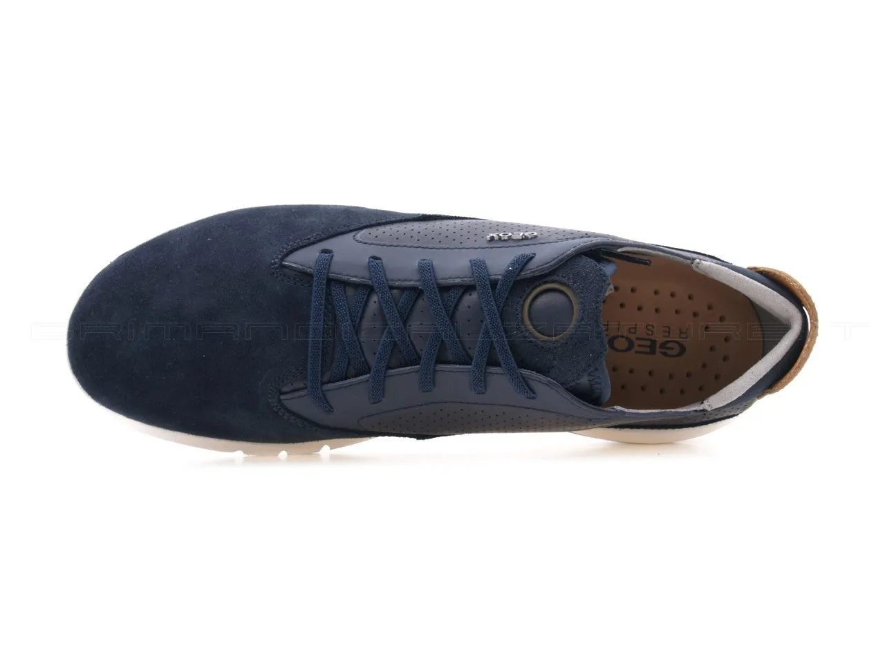 Geox uomo Aerantis sneakers